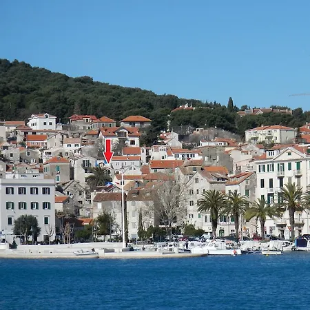 Little Palmina Split