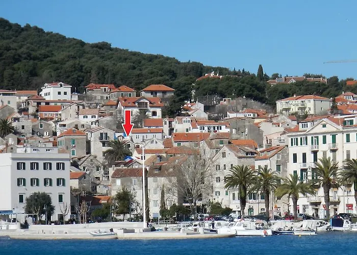 Little Palmina スプリト