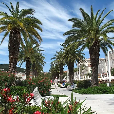 Little Palmina 스플리트