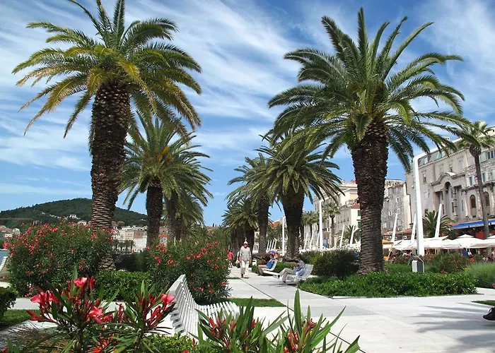 Little Palmina Split